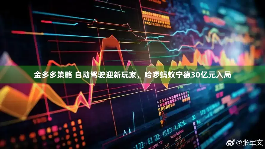 金多多策略 自动驾驶迎新玩家，哈啰蚂蚁宁德30亿元入局