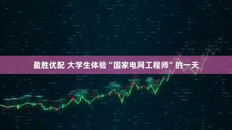 盈胜优配 大学生体验“国家电网工程师”的一天